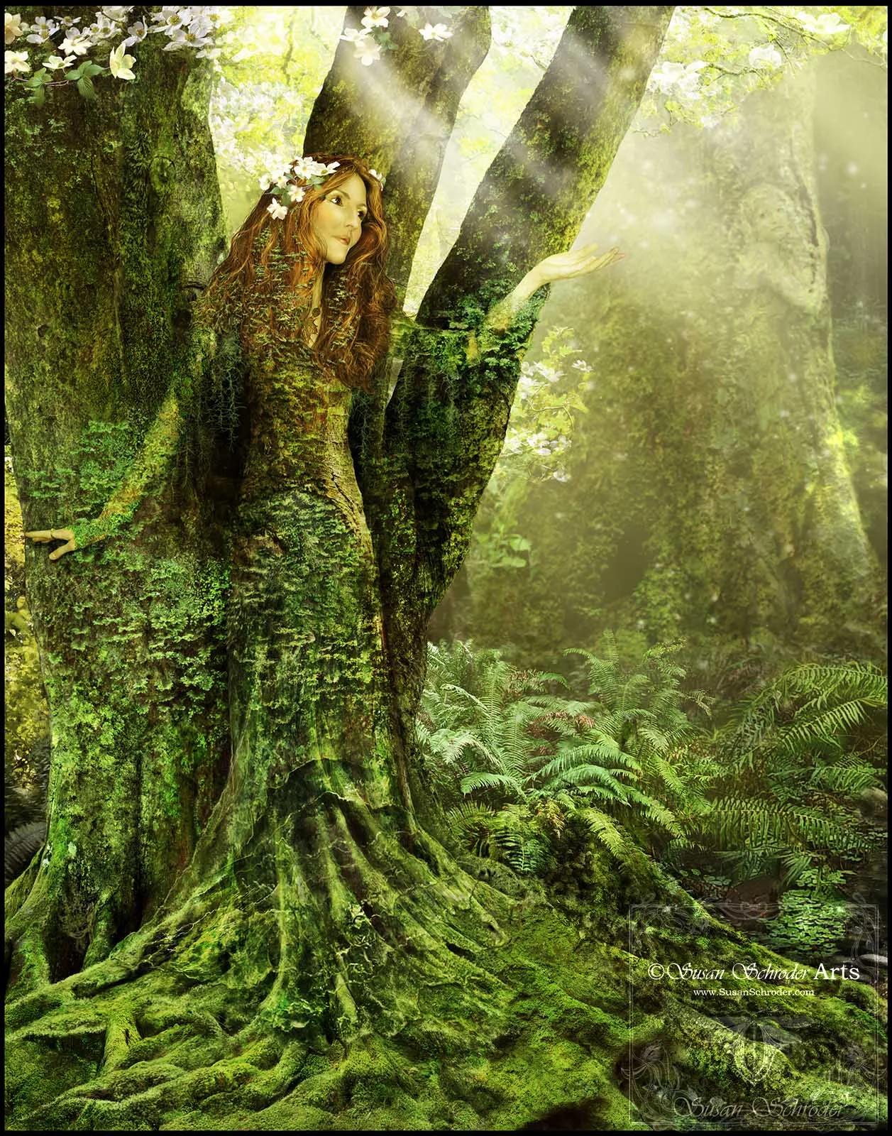 Catching Some Sun — Susan Schroder Arts